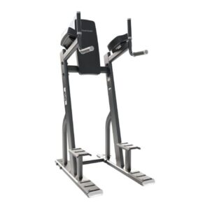 EVO 8010 Vertical Knee Raise / Dip Stand