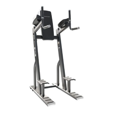 EVO 8010 Vertical Knee Raise / Dip Stand