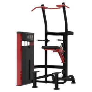 SL-9520 Weight Assisted Chin / Dip (Combo)