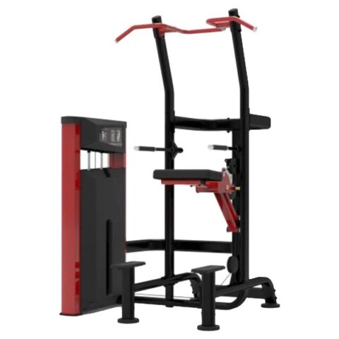 SL-9520 Weight Assisted Chin / Dip (Combo)